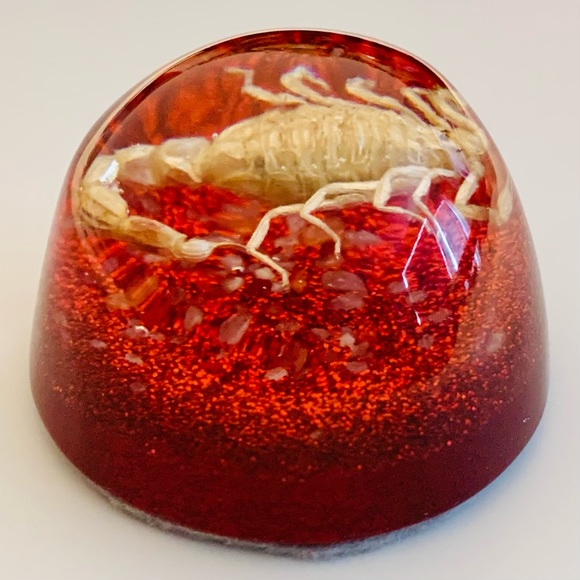 Scorpion Paperweight Acrylic Resin Dome Red Base with Glitter Felt Bottom - Picture 3 of 14